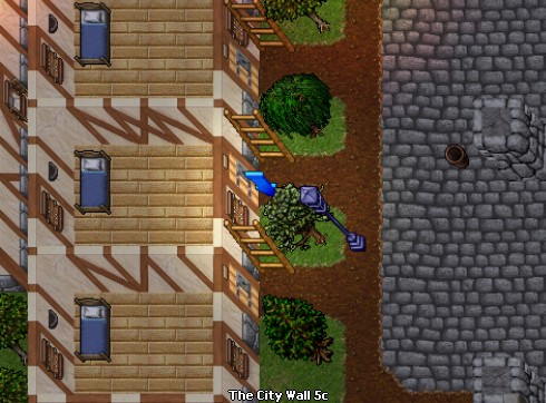 house image